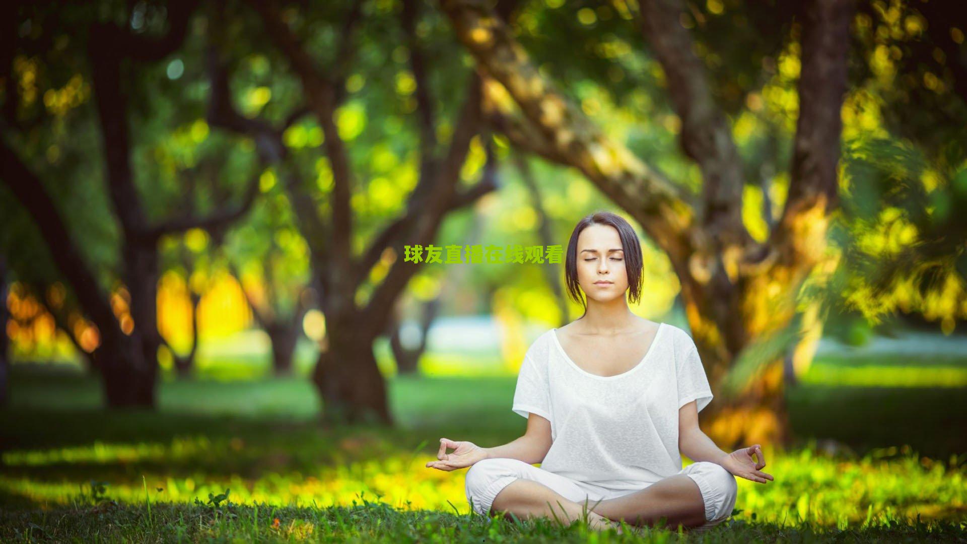 灰熊末节上演惊天逆转!最后15分钟轰出50比16击溃强敌