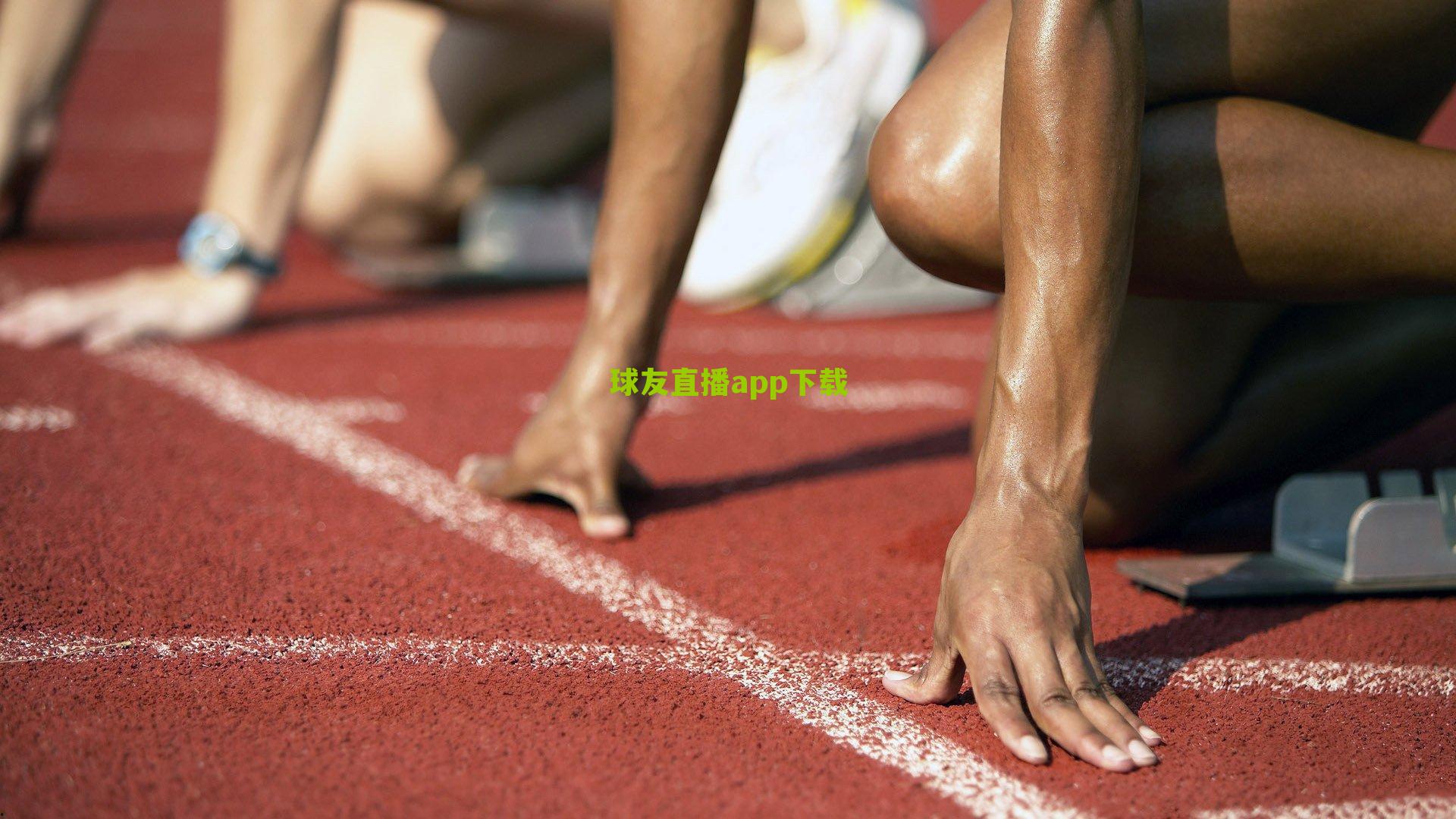 UFC 315，贝拉尔险胜马达莱纳捍卫王座，舍甫琴科强势回归重夺冠军荣耀